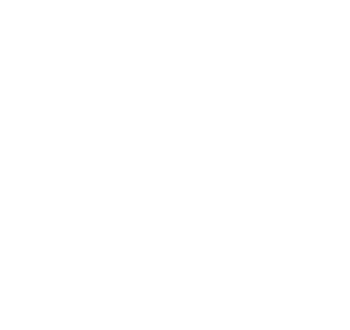 LIONS Klubų Asociacija (Apygarda 131)